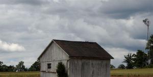 birds-barn