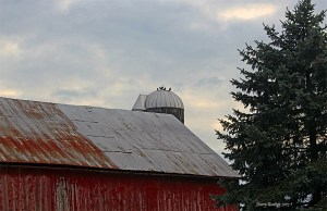 ChristmasBarn05Sept6691
