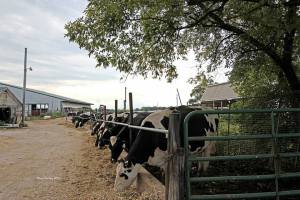 1236322_669018839777202_2039078906_n