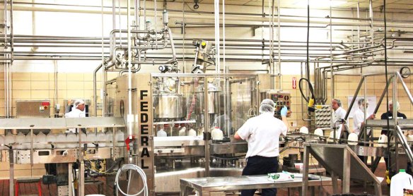 BlogShenFamFarms063cropped