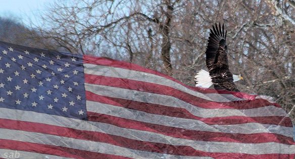 887478_10208642209516798_3834399691121394933_o (1).jpg