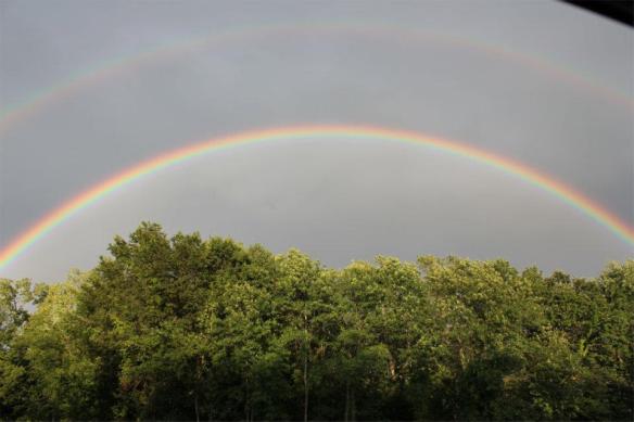 315815_2479071900282_234251482_n