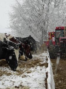 10986660_10206244497857081_5937924373439440151_o