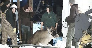 Photo courtesy of WFMJ - 21 news