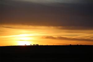 10256404_10204082794934283_4627952695489572277_o