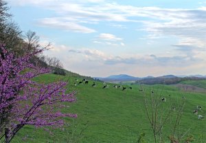 1538850_10203867018139998_98482634260761802_n