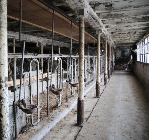 File-Photo-Abandoned-Tie-Stall