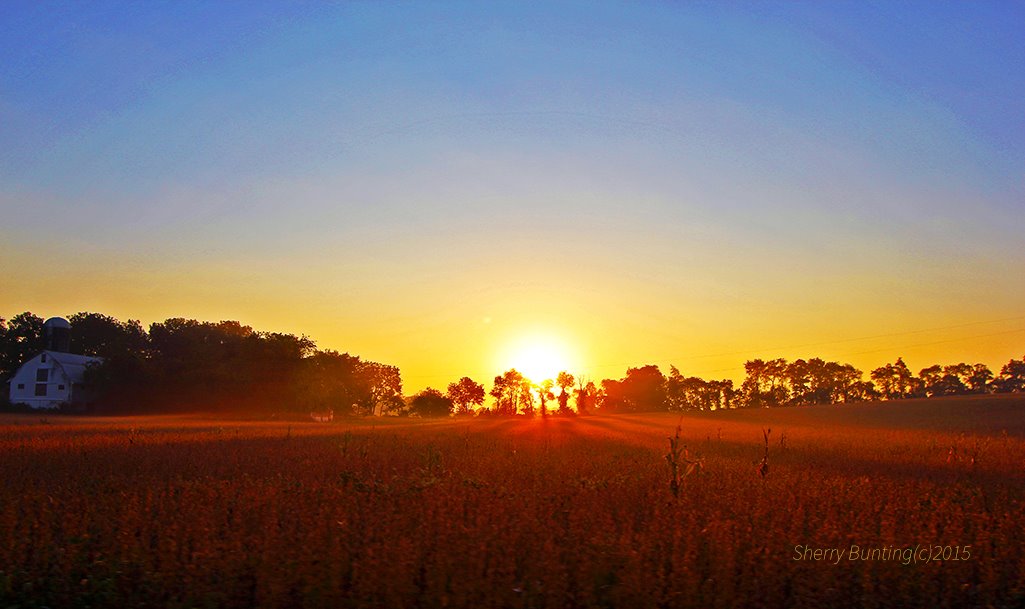 12038718_10208305567380955_984244853511889997_o (1).jpg