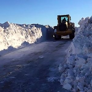 NewMexico-Goliath03 (1)