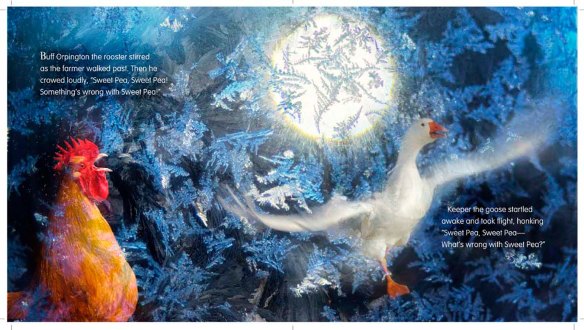 SweetPea_spreads(Churchman)