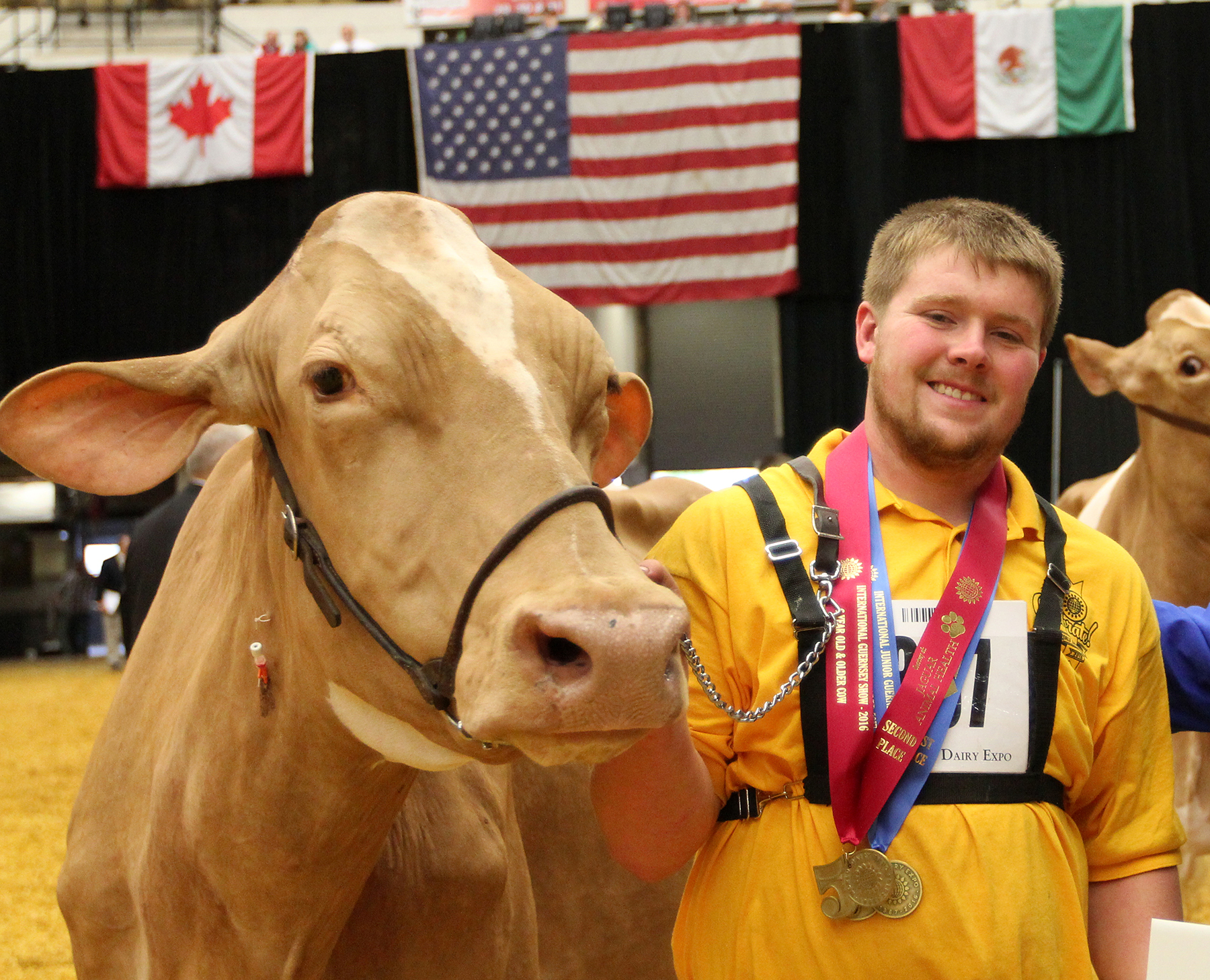 guernseyjuniorbo0109