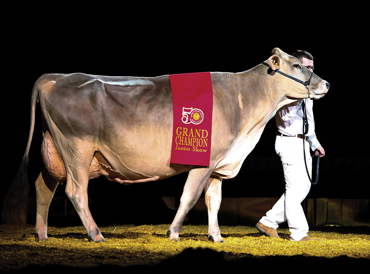 wJrBrownSwiss3096w.jpg