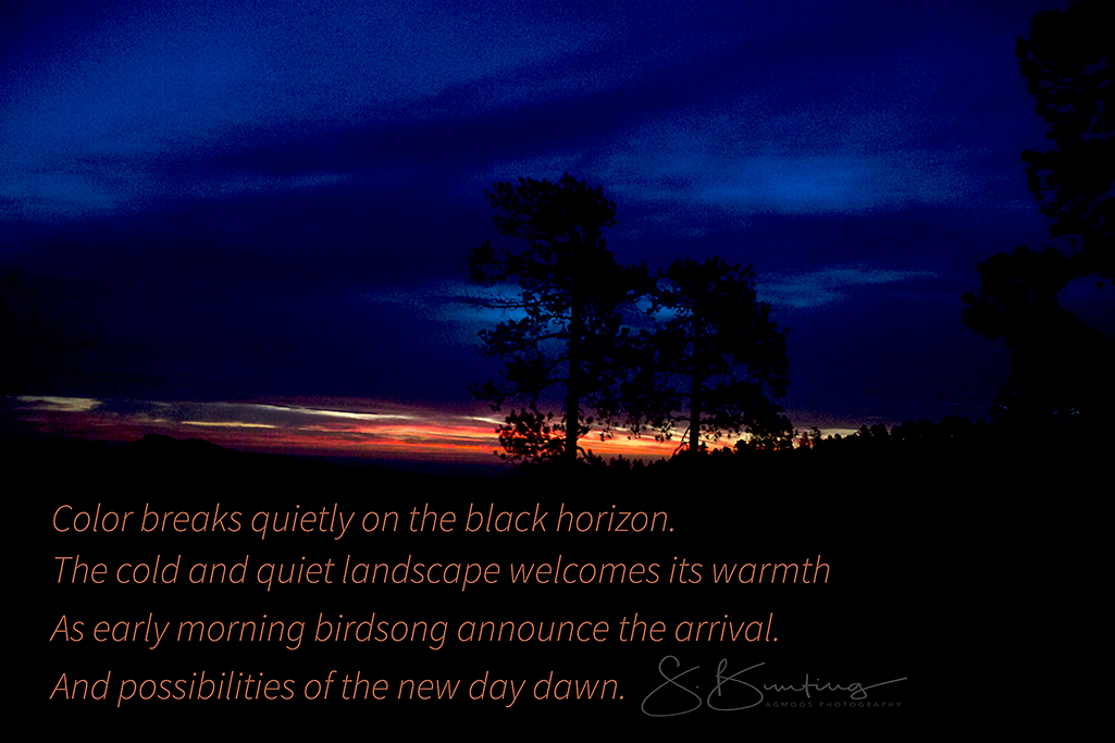 america8462custerweb