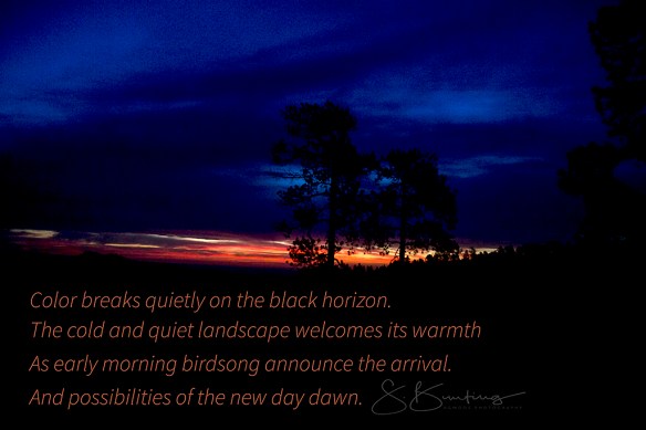 america8462custerweb