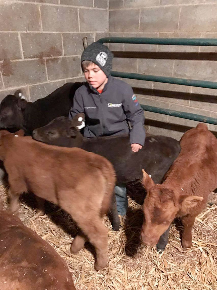 OrphanCalves01(K-State)