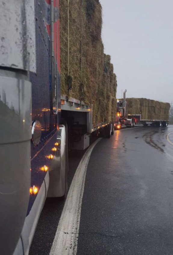 17455087_1363826707007957_213421748_o