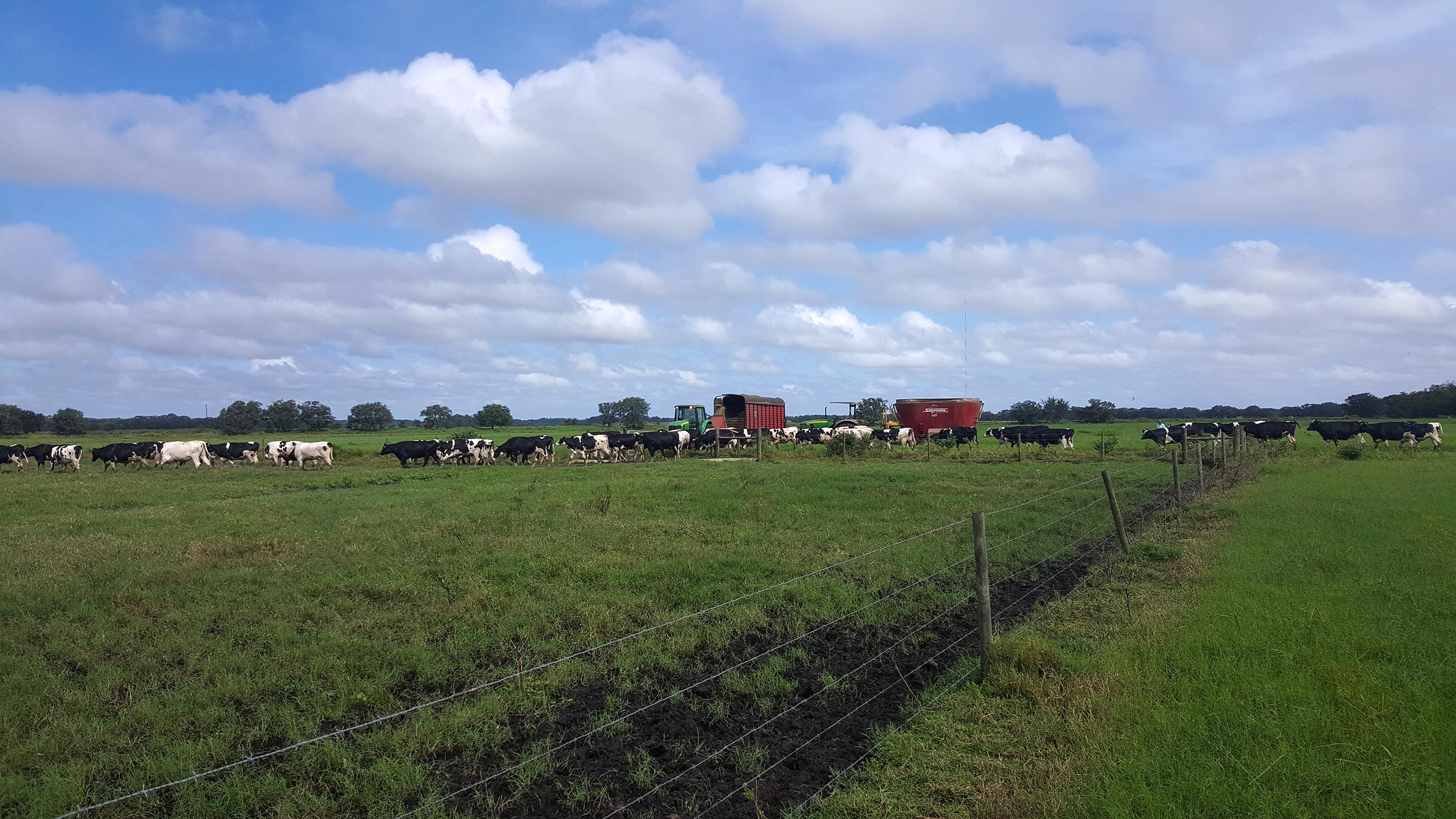 Florida5602(Dakin-MovingToPastureAheadOfStorm)