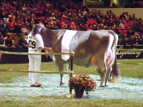 22361205_1788983801144277_1460351895_n