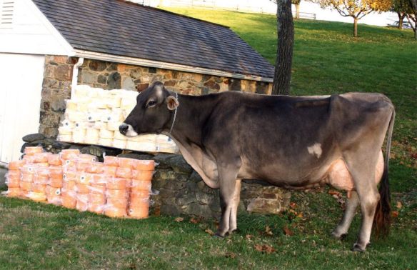 487113_4906228777687_712375240_n