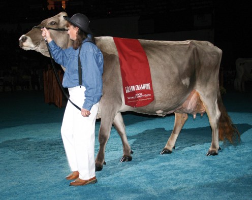 aSnickerdoodle-SwissChamp2008