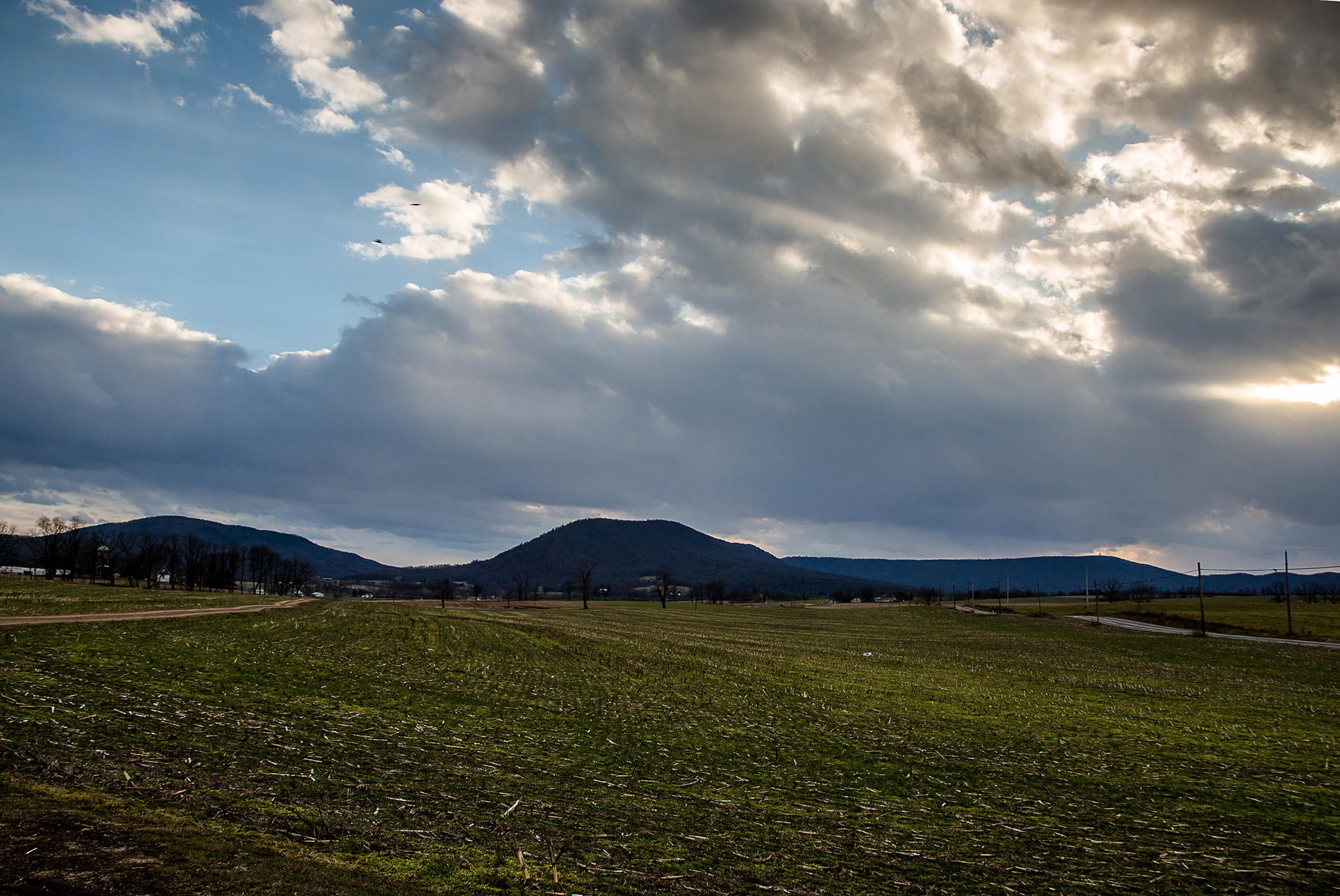 Burdettes_Dec2017-14 (1)