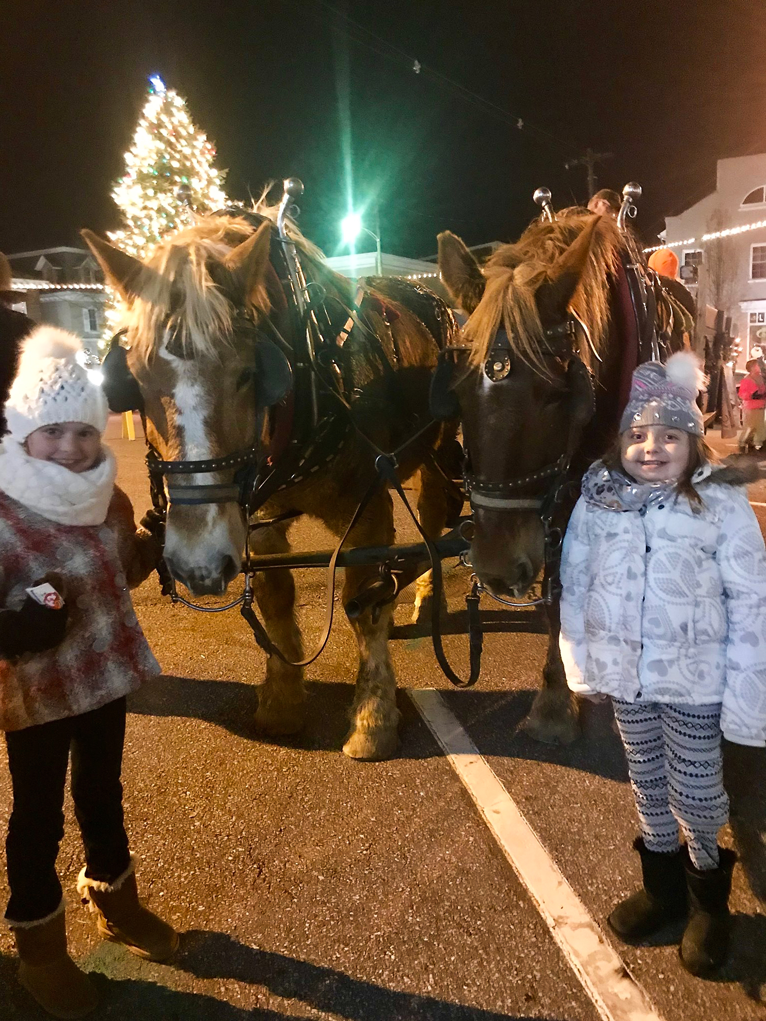 Reese-Brinkley-Sleigh(FacebookPhotoProvided)