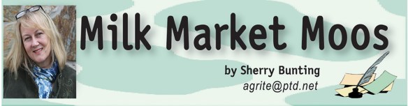 041213FarmshinePage4.indd