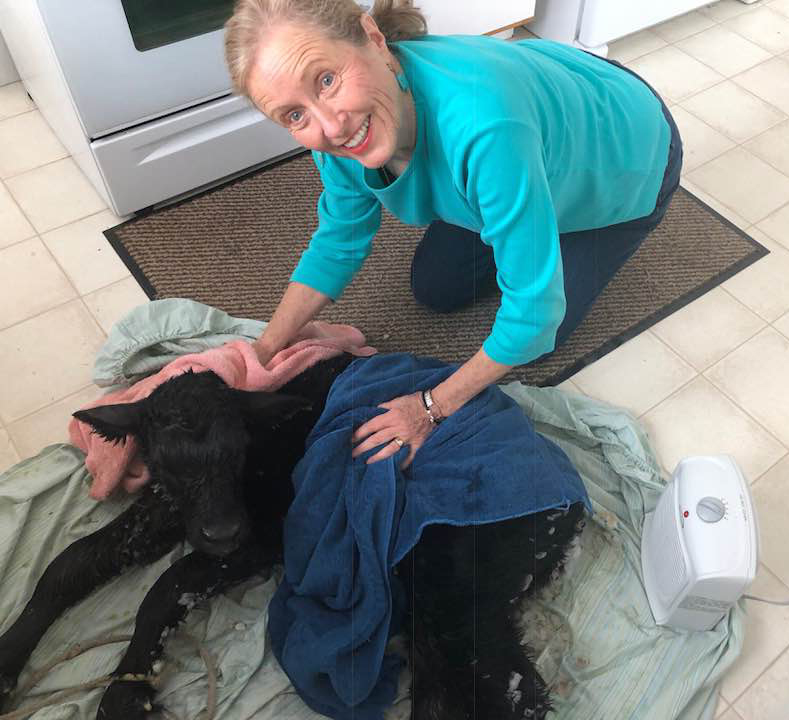 30710603_1930039480374823_1110459933205200896_n (1)