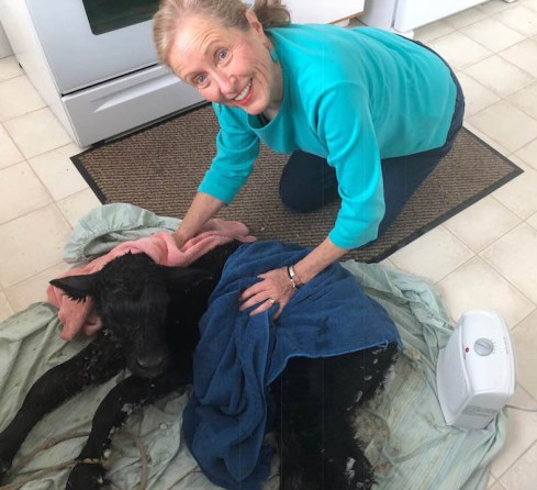 30710603_1930039480374823_1110459933205200896_n (1)