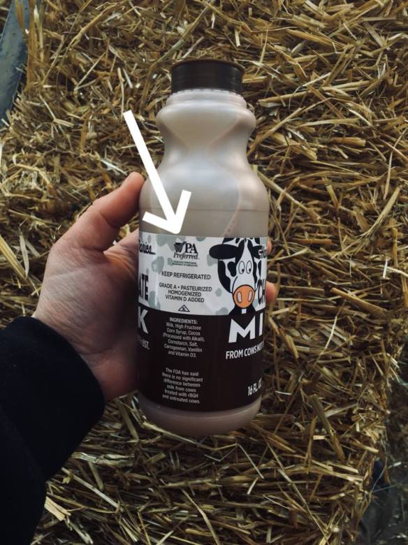 PA-preferred (1).jpg