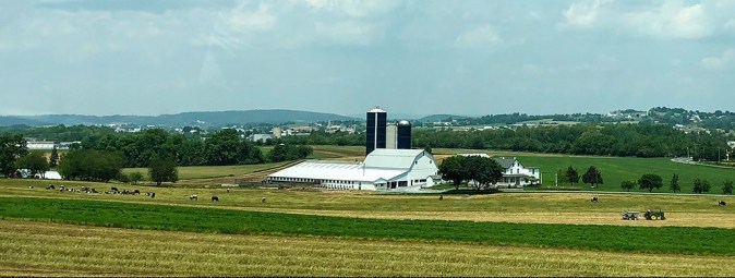 DairyFarm(EasternLancCo)7138w.jpg