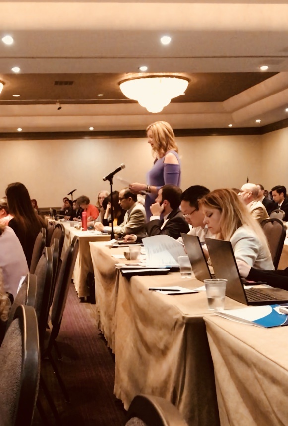 Kim Bremmer FDA Hearing (1).jpg