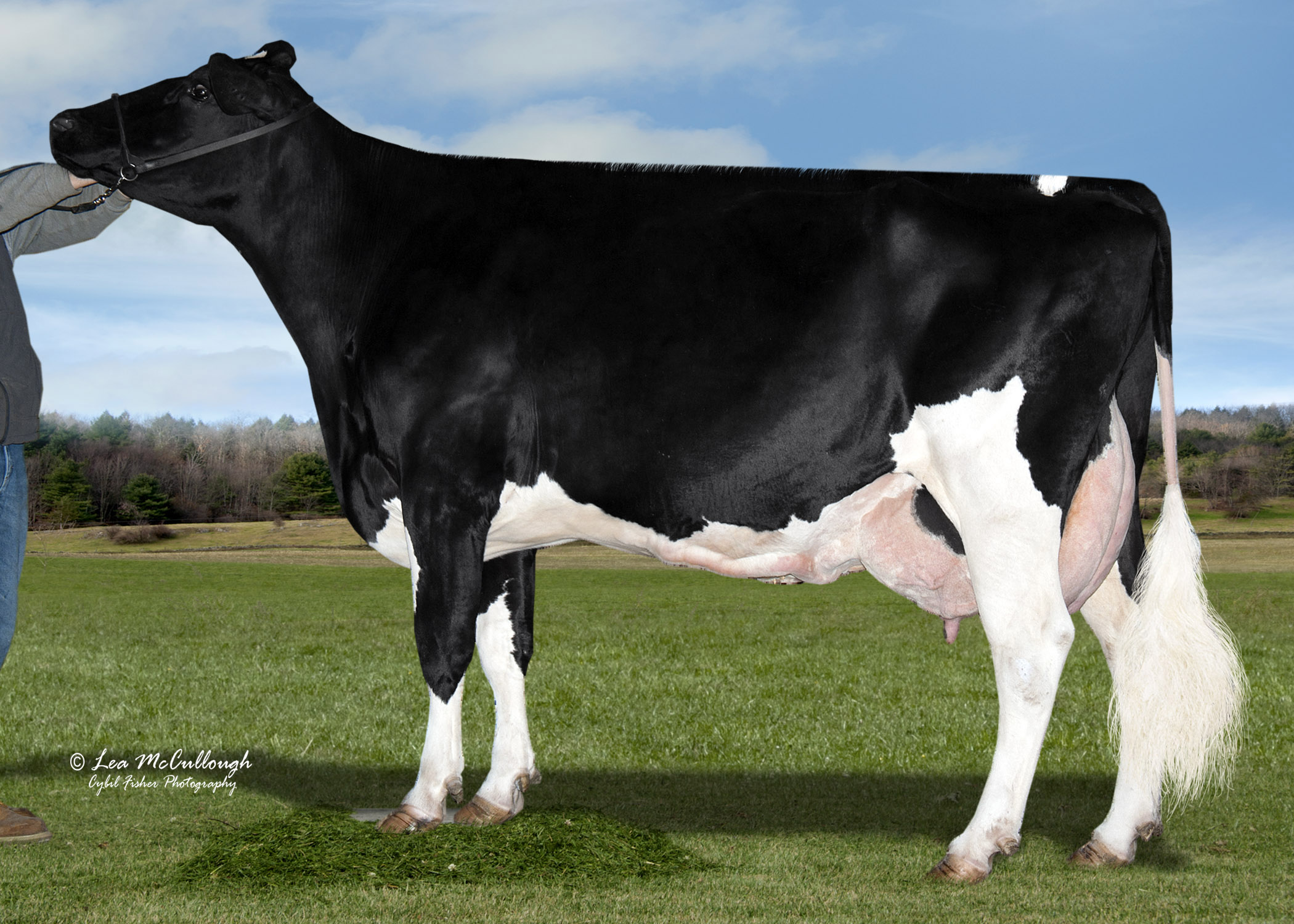 RustyHerr-ProntoRitzi