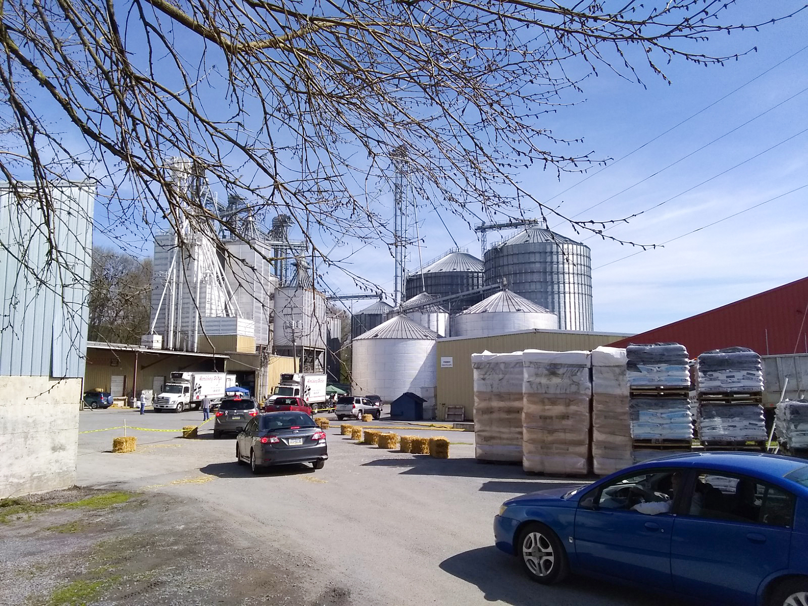 Franklin_Milk_Drop02