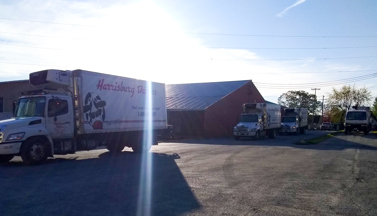 Franklin_Milk_Drop05