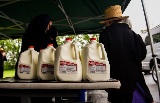 LancMilkGiveaway_5477