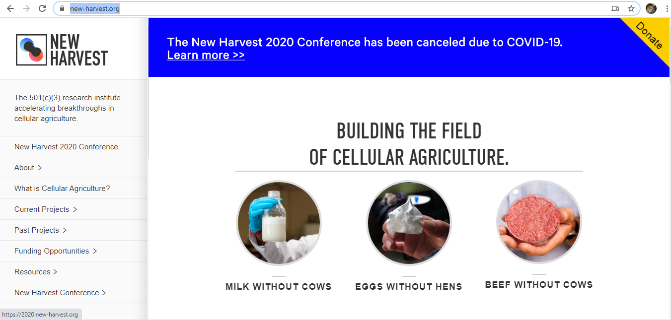 New-Harvest-screenshot