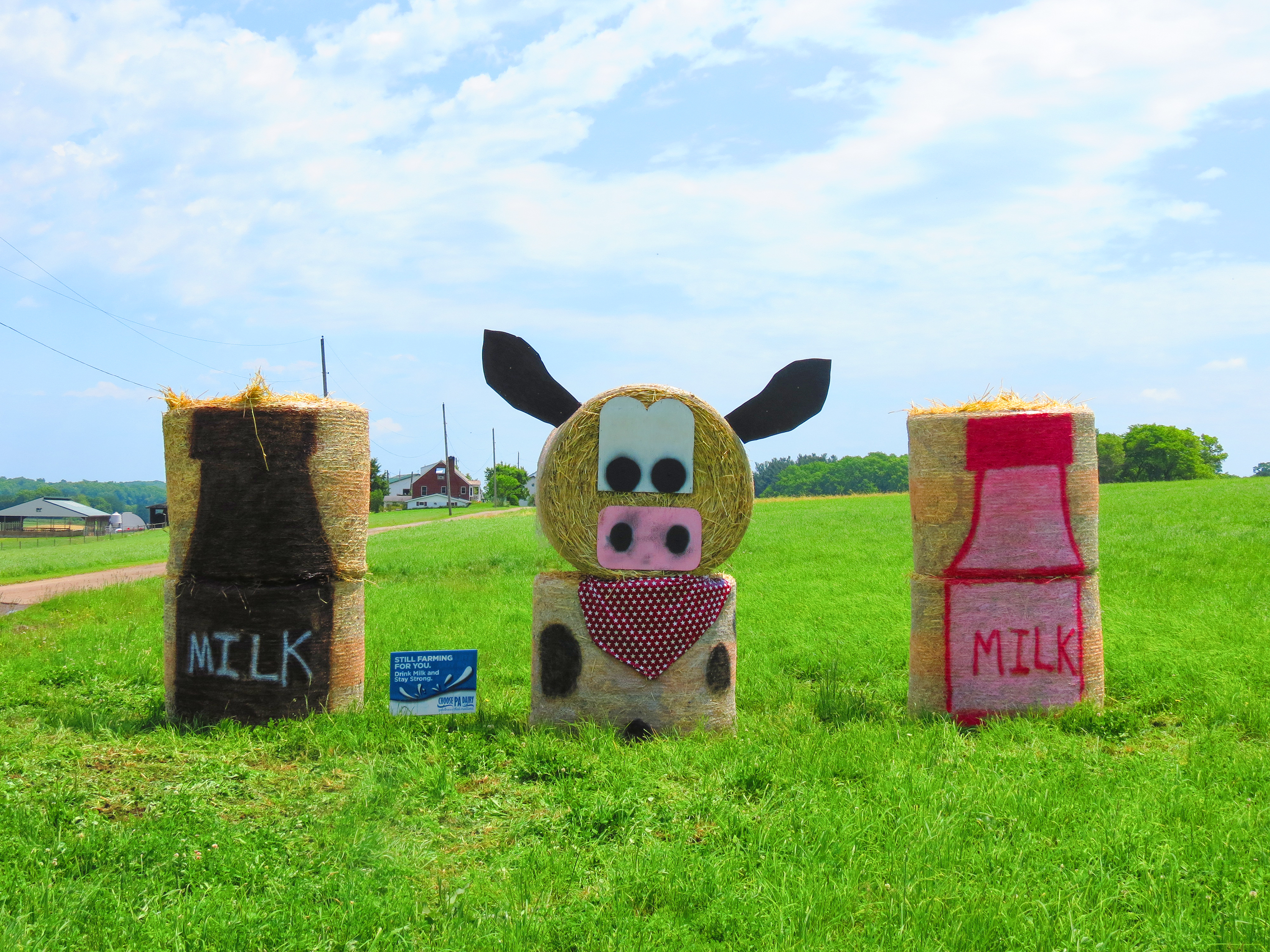 THIELE_JuneDairyMonthArt (1)