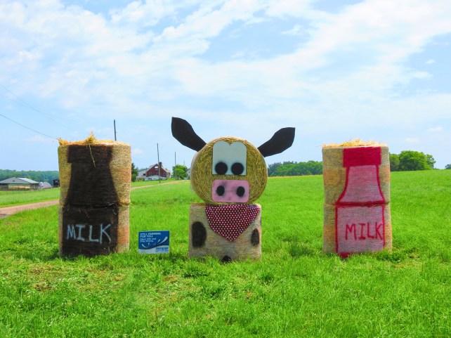 THIELE_JuneDairyMonthArt (1)