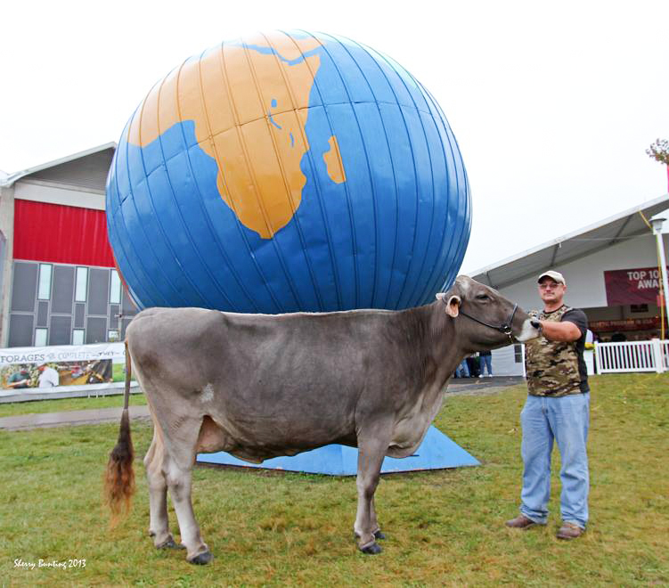 This image has an empty alt attribute; its file name is snickerdoodleworld2-1.jpg